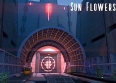 Sun Flowers (Steam VR)