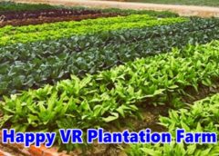 Happy VR Plantation Farm (Steam VR)