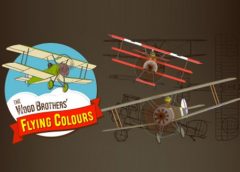 Wood Brothers Flying Colours (Steam VR)