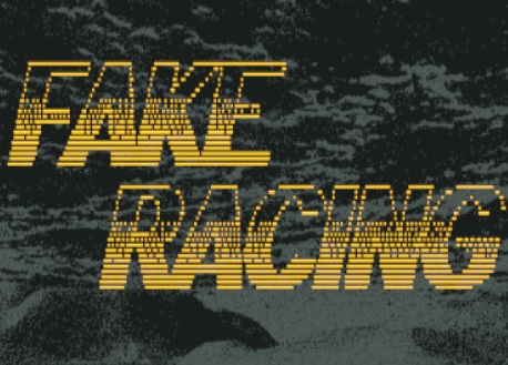 Fake Racing (Steam VR)