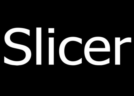 Slicer (Steam VR)
