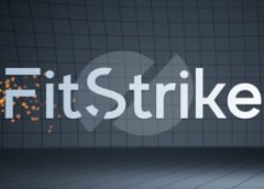 FitStrike (Steam VR)