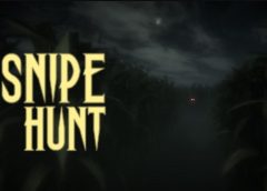 Snipe Hunt (Steam VR)